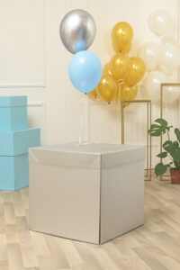 Box-Surprise-Silver-Grande